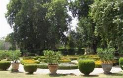 giardinotorrigiani