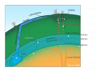 Una parziale riproduzione del sottosuolo terrestre mostra la presenza di ringwoodite nel mantello Credit: Kathy Mather