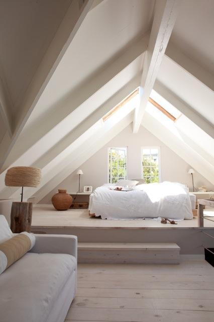 10 things my dream home should have coolest-attic-ever
