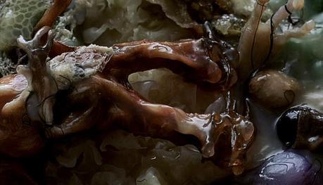 DAVID CRONENBERG DAY: eXistenZ DAVID CRONENBERG DAY: eXistenZ