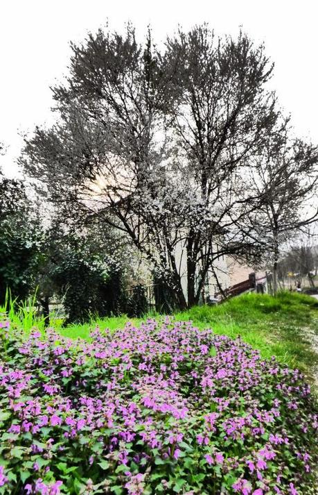 Primo trekking di primavera