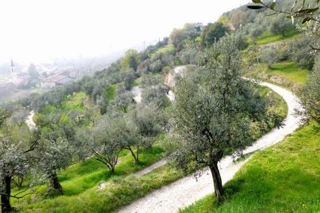 Primo trekking di primavera