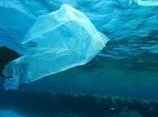 Mediterraneo mare Plastica? Dati ricerca