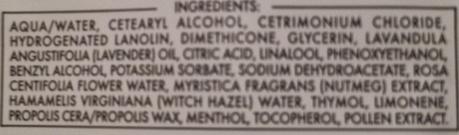 AREA VERDE: NEGOZIO WEB DI PRODOTTI NATURALI