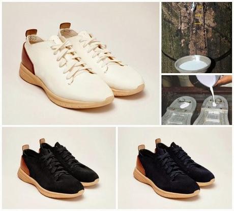 FEIT _ bio trainer