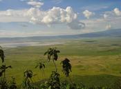 Nella Riserva Naturale Ngorongoro, dove padroni casa sono animali