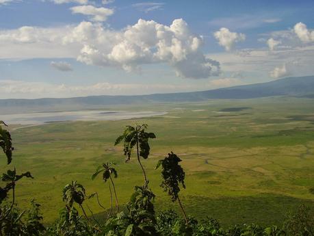 Nella Riserva Naturale di Ngorongoro, dove i padroni di casa sono gli animali