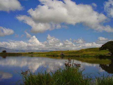 Nella Riserva Naturale di Ngorongoro, dove i padroni di casa sono gli animali