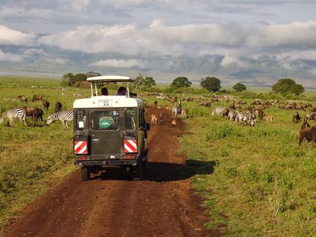 Nella Riserva Naturale di Ngorongoro, dove i padroni di casa sono gli animali