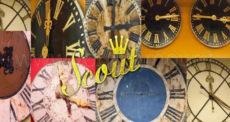Scout Collezione Primavera Estate 2014 - Copertina copia