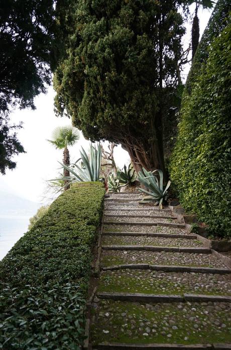 Primav...Arenna, Ellebori e visite guidate a Villa monastero e Villa Cipressi