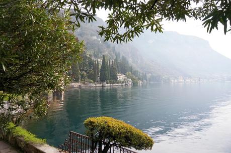 Primav...Arenna, Ellebori e visite guidate a Villa monastero e Villa Cipressi