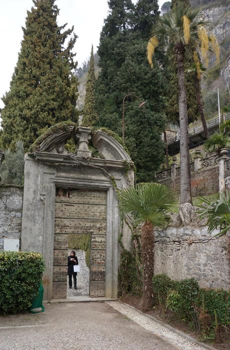 Primav...Arenna, Ellebori e visite guidate a Villa monastero e Villa Cipressi