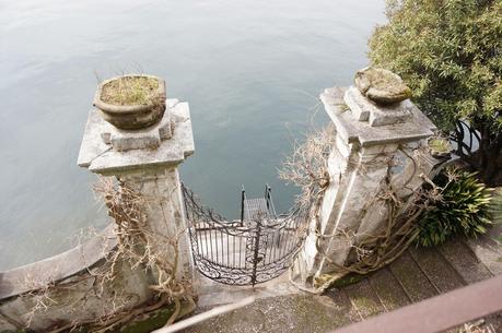 Primav...Arenna, Ellebori e visite guidate a Villa monastero e Villa Cipressi