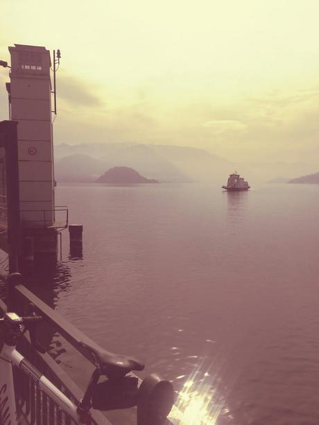 Primav...Arenna, Ellebori e visite guidate a Villa monastero e Villa Cipressi