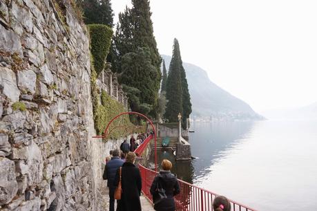 Primav...Arenna, Ellebori e visite guidate a Villa monastero e Villa Cipressi