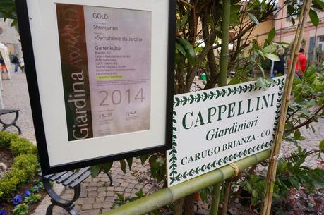 Primav...Arenna, Ellebori e visite guidate a Villa monastero e Villa Cipressi