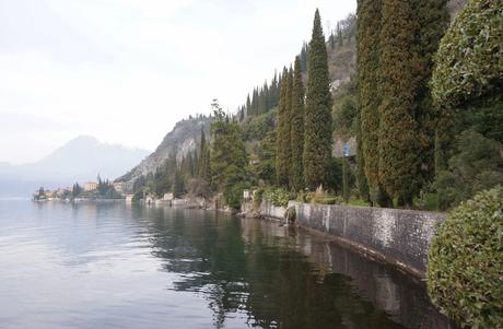 Primav...Arenna, Ellebori e visite guidate a Villa monastero e Villa Cipressi