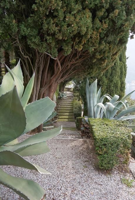 Primav...Arenna, Ellebori e visite guidate a Villa monastero e Villa Cipressi