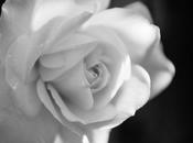 Ecco perchè devi preferire bianco nero