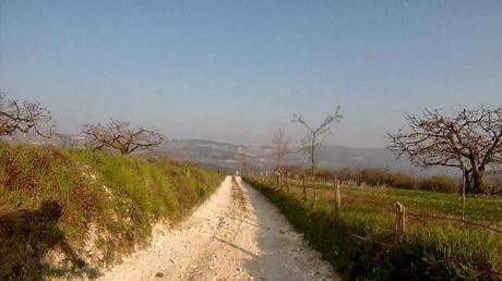 La testa e la pancia ovvero...uscita mtb del 16/3, 2014