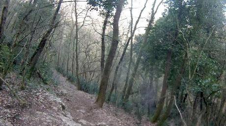 La testa e la pancia ovvero...uscita mtb del 16/3, 2014