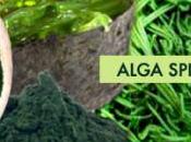 ALGA SPIRULINA Ecco proprietà vari modi consumarla