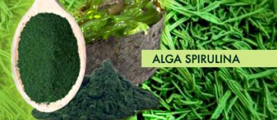 alga-spirulina