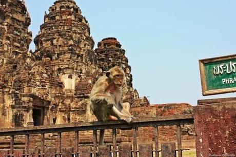 Lop Buri, la città delle scimmie!