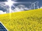 Rinnovabili: ecco risollevare mercato