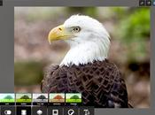 Pixlr Express: editor immagini completamente free!