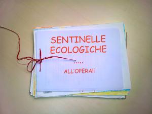 sentinelle eco