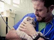 Emergenza veterinaria, reality dedicato agli animali pericolo