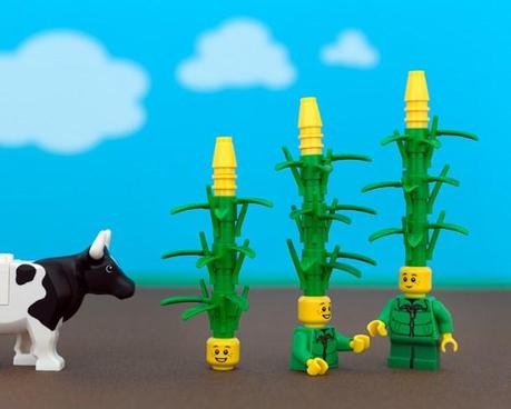 united-states-of-lego-iowa