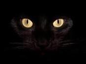 Recensione Onirica Stella Aurora