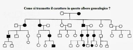 Alberi genealogici e trasmissione ereditaria delle caratteristiche genetiche: un ripasso - 02