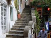 Piccioni curiosi .....