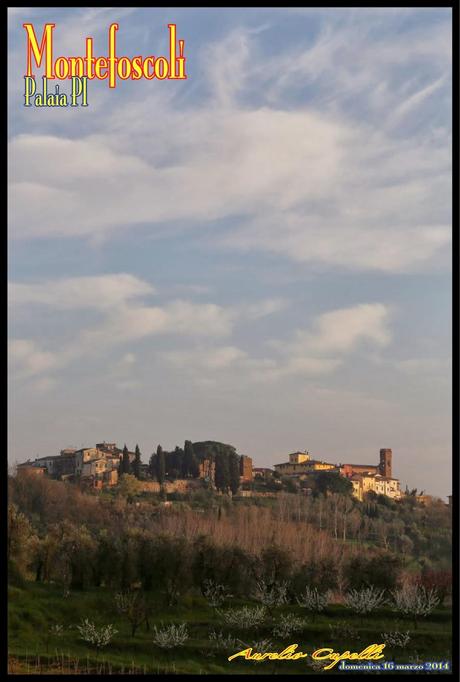 il tempio di Minerva Medica a Montefoscoli