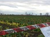 Terra Fuochi, libera prodotti locali campani