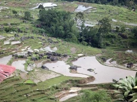 Indonesia un viaggio da sogno