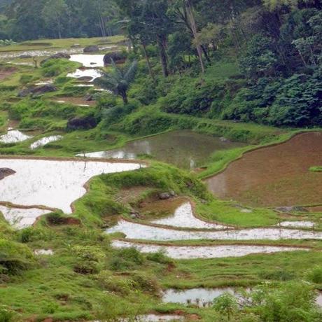 Indonesia un viaggio da sogno