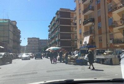 traffico-abusivi-bosco-minniti