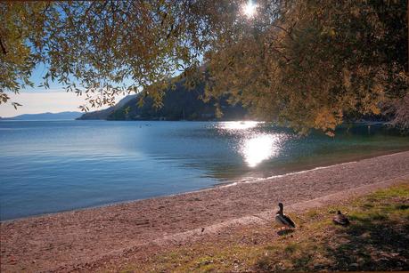 Un angolo di Mediterraneo tra le Alpi ed il Lago Maggiore.