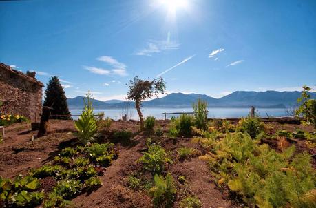 Un angolo di Mediterraneo tra le Alpi ed il Lago Maggiore.