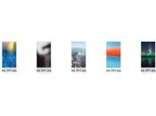 Scarica anteprima nuovi wallpaper sfondi ufficiali WhatsApp