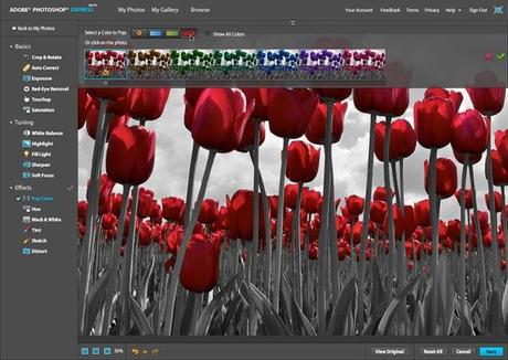 I 16 migliori programmi gratuiti alternativi ad Adobe Photoshop per Mac e per Windows