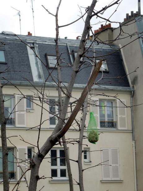 Parigi: a filo dell'acqua, a filo delle rotaie