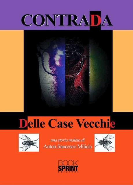 Anteprima: Contrada delle case vecchie di Antonio Milicia