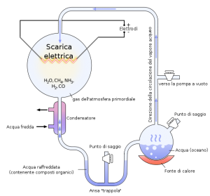 644px-Miller-Urey_experiment-it.svg