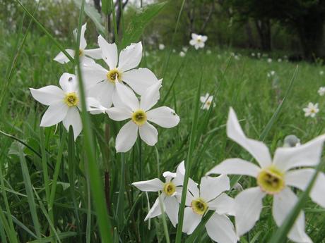 EQUINOZIO DI PRIMAVERA